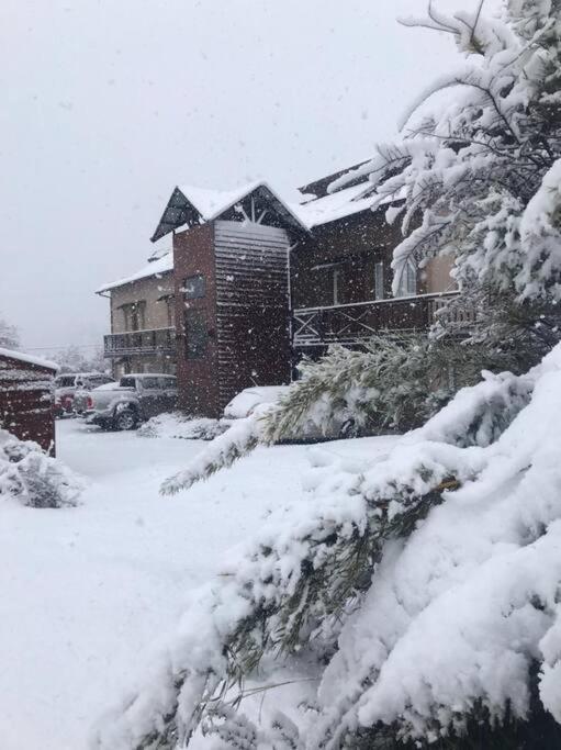 Catedral Sur Apartment San Carlos de Bariloche Bagian luar foto